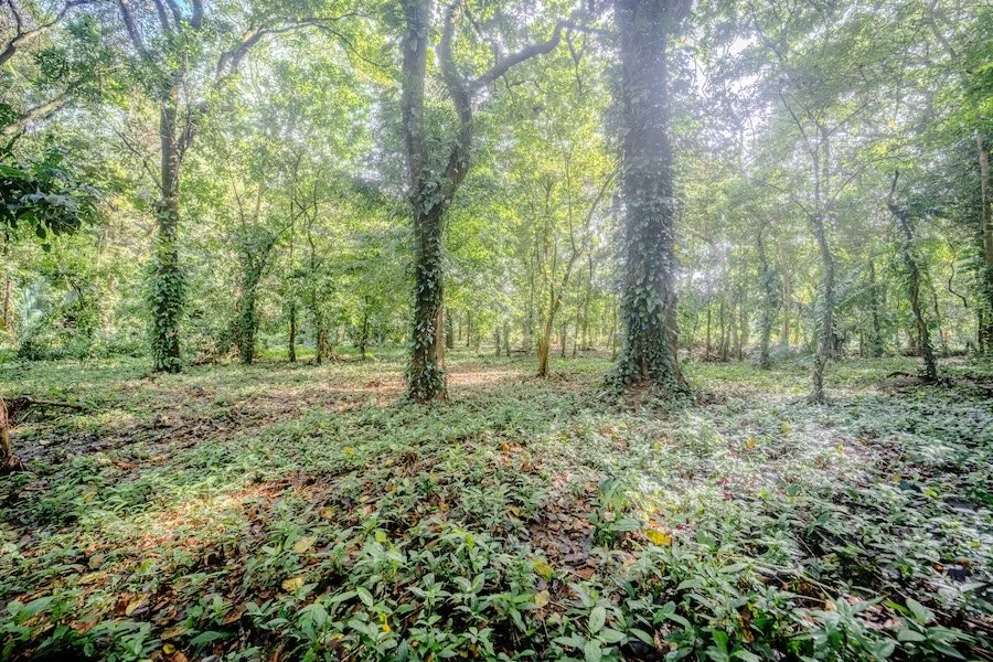 Versatile Lot with Mixed-Use Zoning and River Access