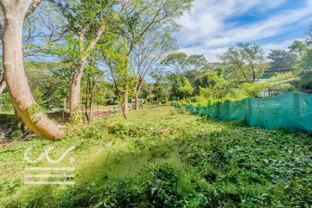 Lot-Delicias-827-Wanderlust-Sothebys-International-Realty-Nosara-Real-Estate-3.jpg