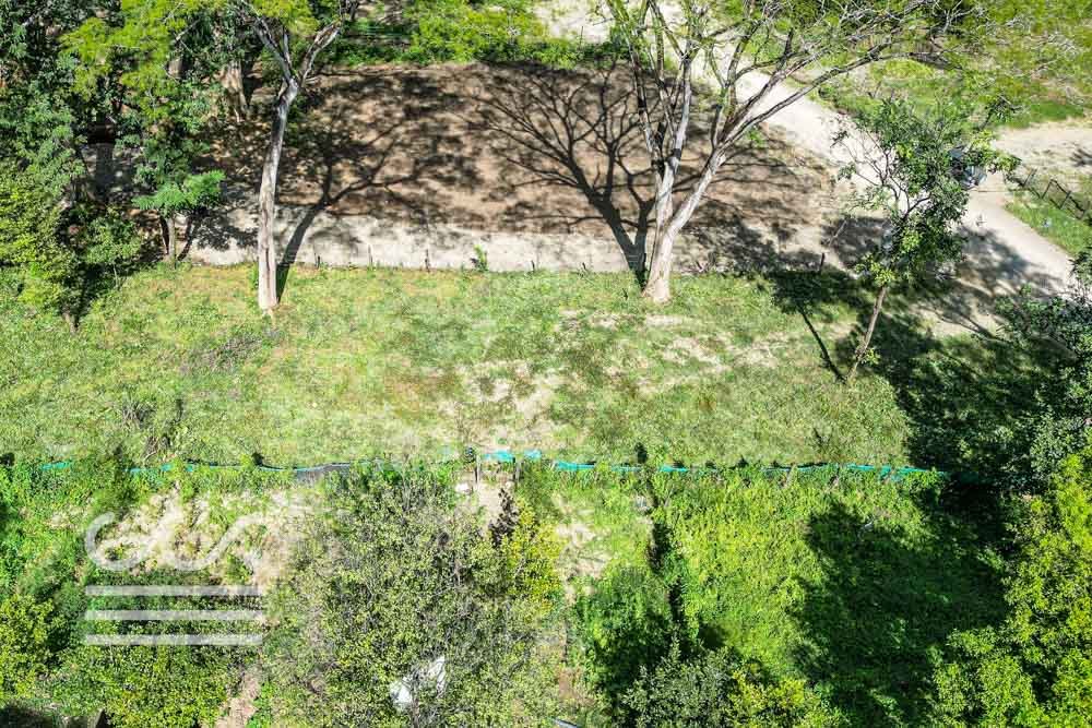 Lot-Delicias-827-Wanderlust-Sothebys-International-Realty-Nosara-Real-Estate-6.jpg