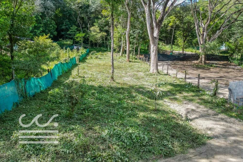 Lot-Delicias-827-Wanderlust-Sothebys-International-Realty-Nosara-Real-Estate-7.jpg