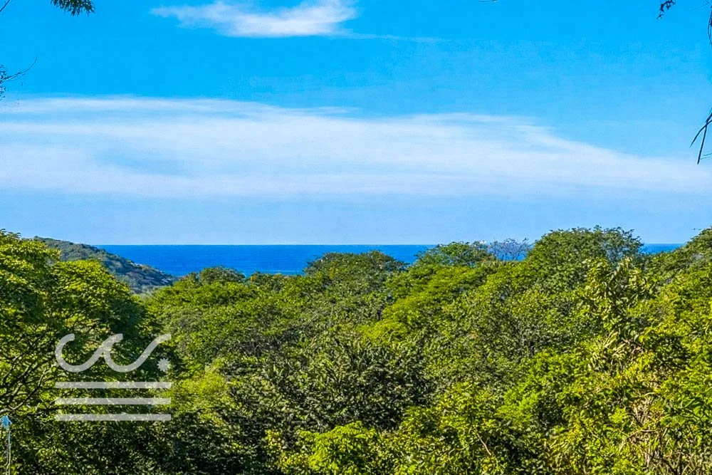 Monkey Road Lot-Wanderlust-Sothebys-International-Realty-Nosara-Real-Estate-35.jpg