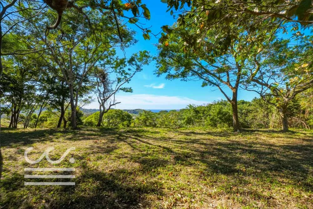 Monkey Road Lot-Wanderlust-Sothebys-International-Realty-Nosara-Real-Estate-28.jpg