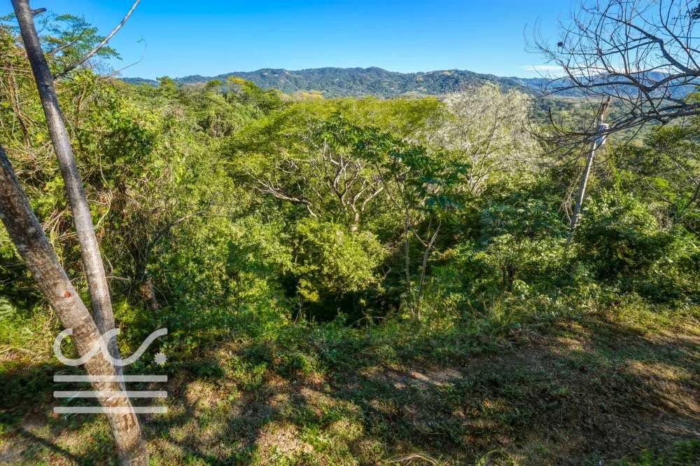 Monkey Road Lot-Wanderlust-Sothebys-International-Realty-Nosara-Real-Estate-29.jpg