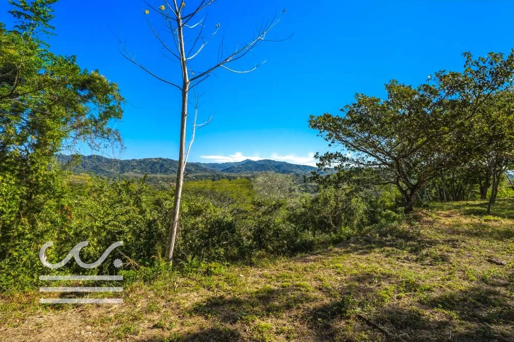 Monkey Road Lot-Wanderlust-Sothebys-International-Realty-Nosara-Real-Estate-26.jpg