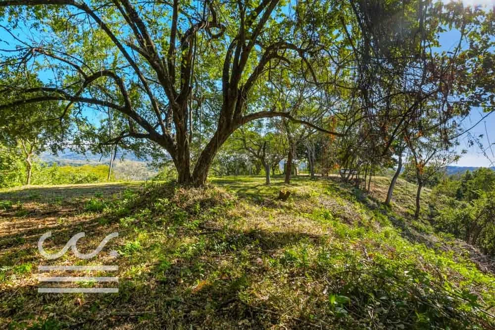 Monkey Road Lot-Wanderlust-Sothebys-International-Realty-Nosara-Real-Estate-24.jpg