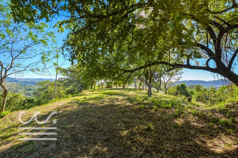 Monkey Road Lot-Wanderlust-Sothebys-International-Realty-Nosara-Real-Estate-23.jpg