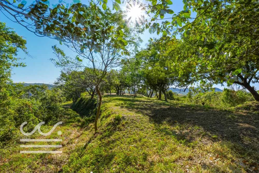 Monkey Road Lot-Wanderlust-Sothebys-International-Realty-Nosara-Real-Estate-22.jpg