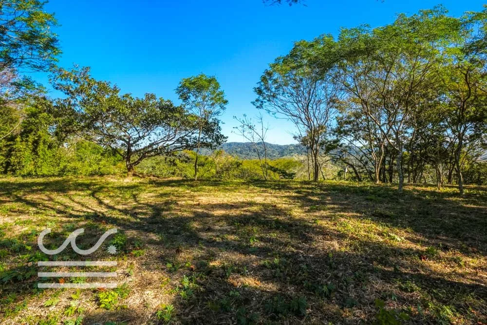 Monkey Road Lot-Wanderlust-Sothebys-International-Realty-Nosara-Real-Estate-21.jpg