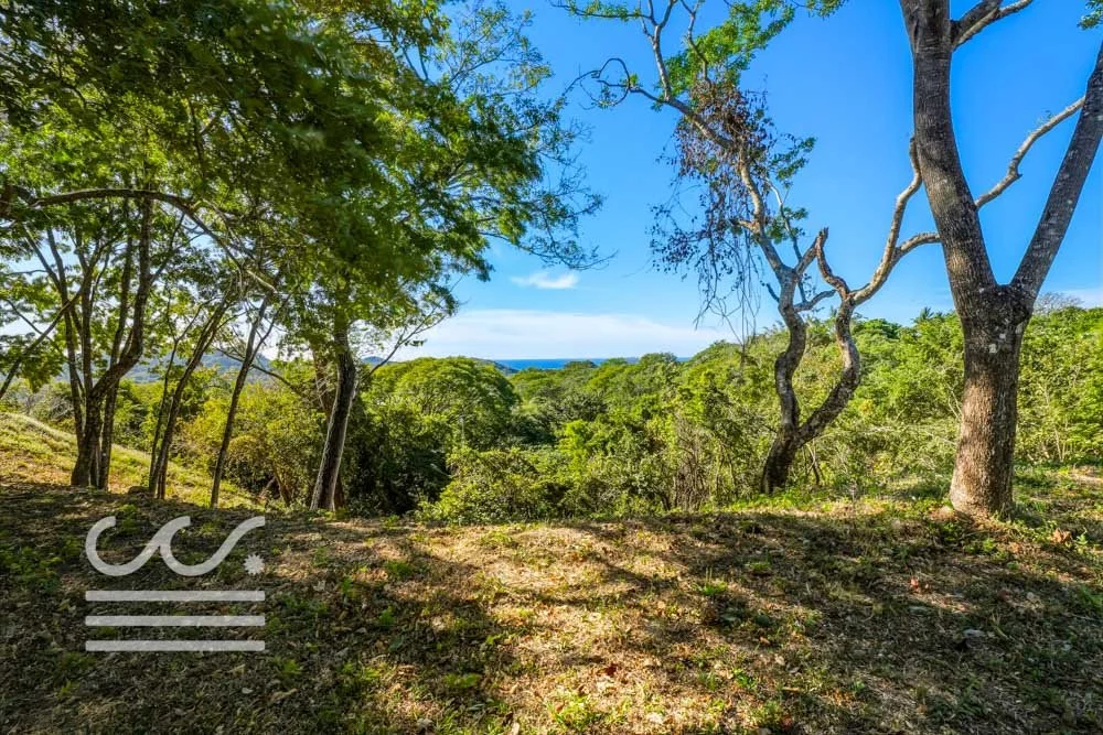 Monkey Road Lot-Wanderlust-Sothebys-International-Realty-Nosara-Real-Estate-19.jpg