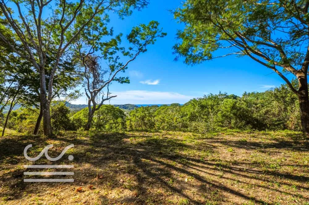 Monkey Road Lot-Wanderlust-Sothebys-International-Realty-Nosara-Real-Estate-20.jpg