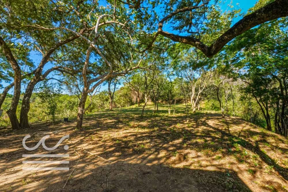 Monkey Road Lot-Wanderlust-Sothebys-International-Realty-Nosara-Real-Estate-17.jpg