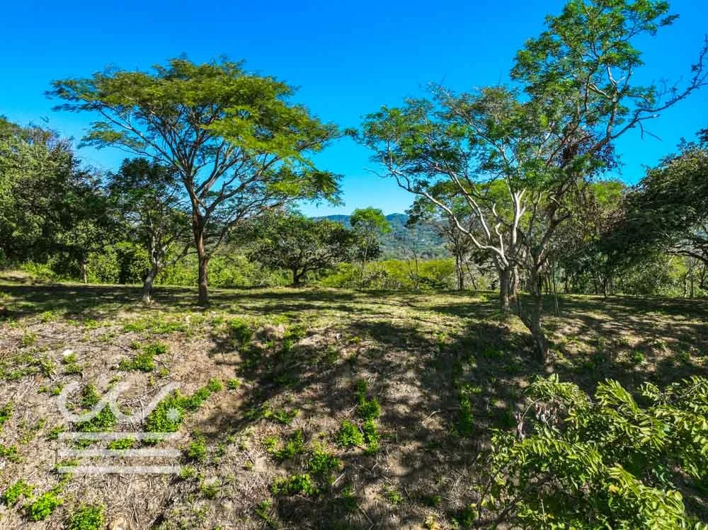 Monkey Road Lot-Wanderlust-Sothebys-International-Realty-Nosara-Real-Estate-16.jpg
