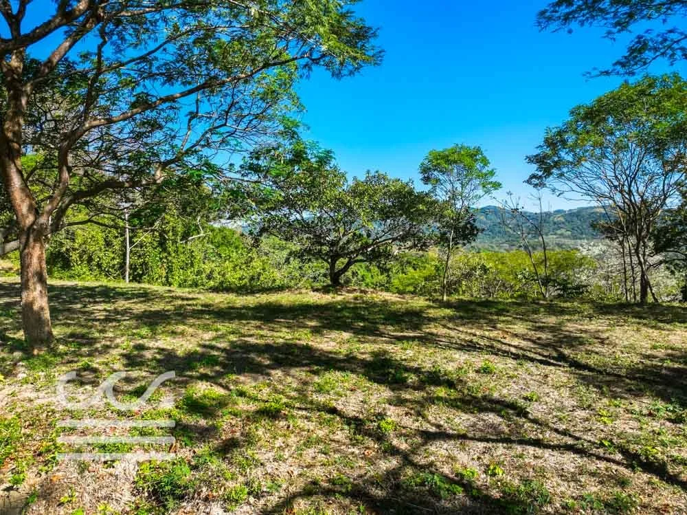 Monkey Road Lot-Wanderlust-Sothebys-International-Realty-Nosara-Real-Estate-15.jpg