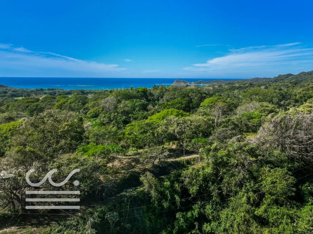 Monkey Road Lot-Wanderlust-Sothebys-International-Realty-Nosara-Real-Estate-13.jpg