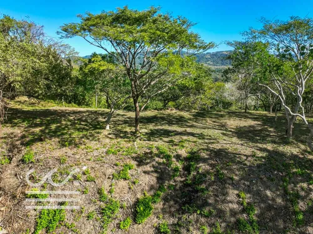 Monkey Road Lot-Wanderlust-Sothebys-International-Realty-Nosara-Real-Estate-10.jpg