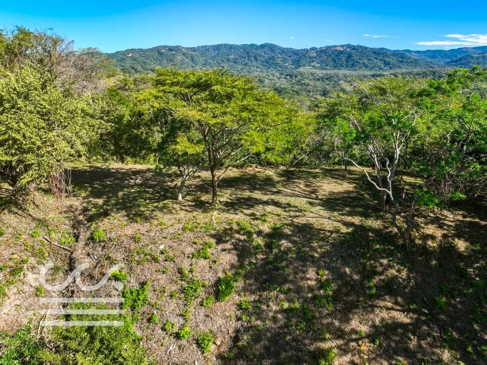 Monkey Road Lot-Wanderlust-Sothebys-International-Realty-Nosara-Real-Estate-9.jpg