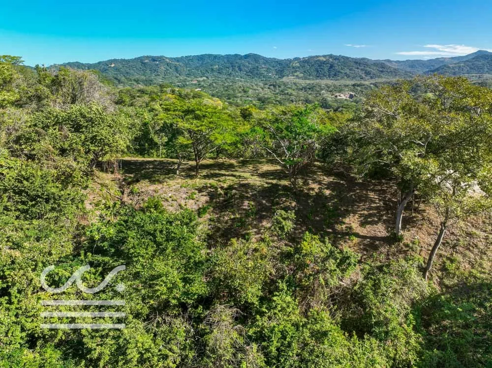 Monkey Road Lot-Wanderlust-Sothebys-International-Realty-Nosara-Real-Estate-8.jpg