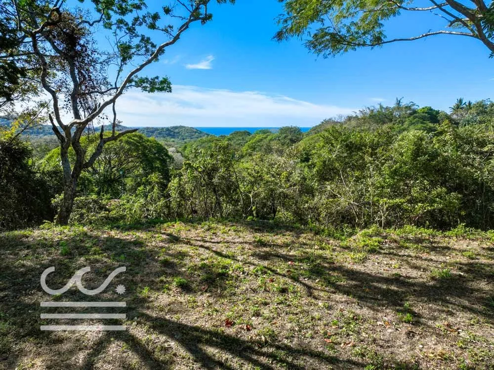 Monkey Road Lot-Wanderlust-Sothebys-International-Realty-Nosara-Real-Estate-5.jpg