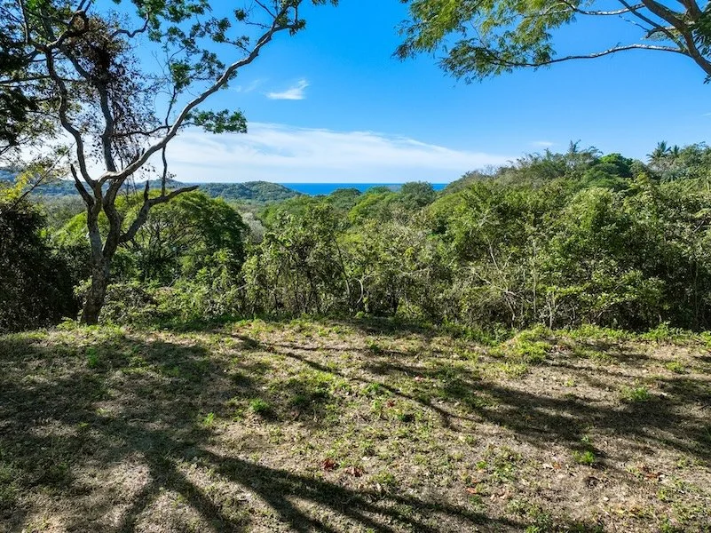 Los Monos Ocean View Lot