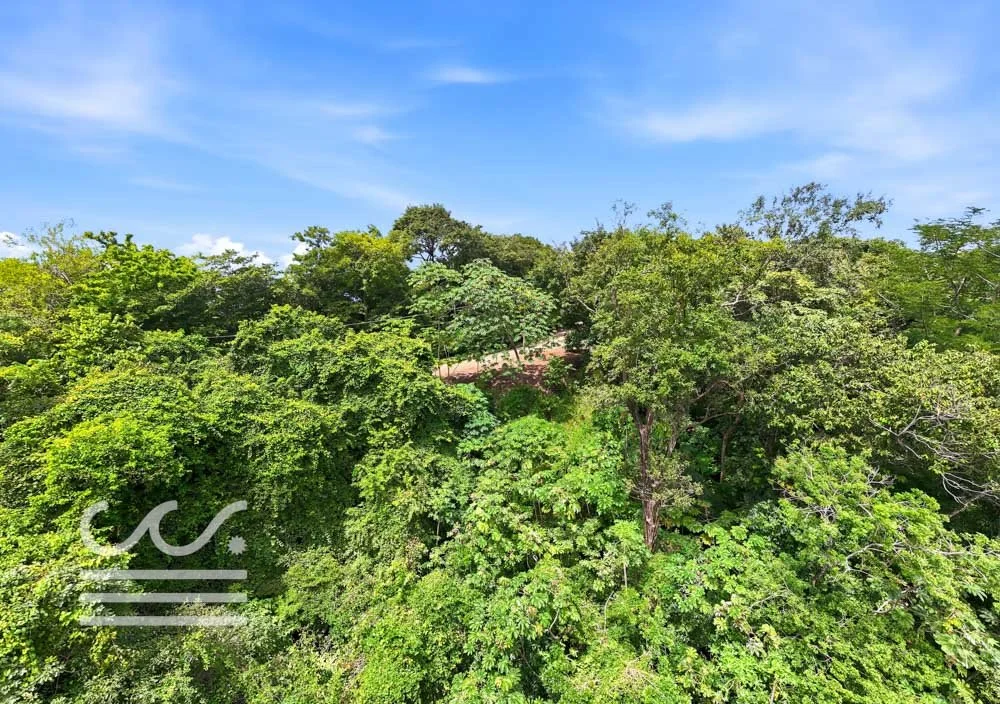 Clara Vista-Wanderlust-Sothebys-International-Realty-Nosara-Real-Estate-3.jpg