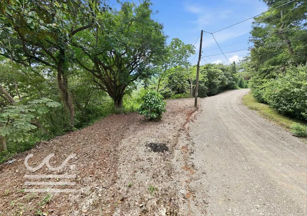 Clara Vista-Wanderlust-Sothebys-International-Realty-Nosara-Real-Estate-4.jpg