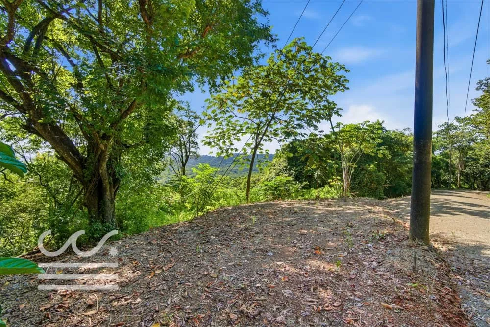 Clara Vista-Wanderlust-Sothebys-International-Realty-Nosara-Real-Estate-5.jpg