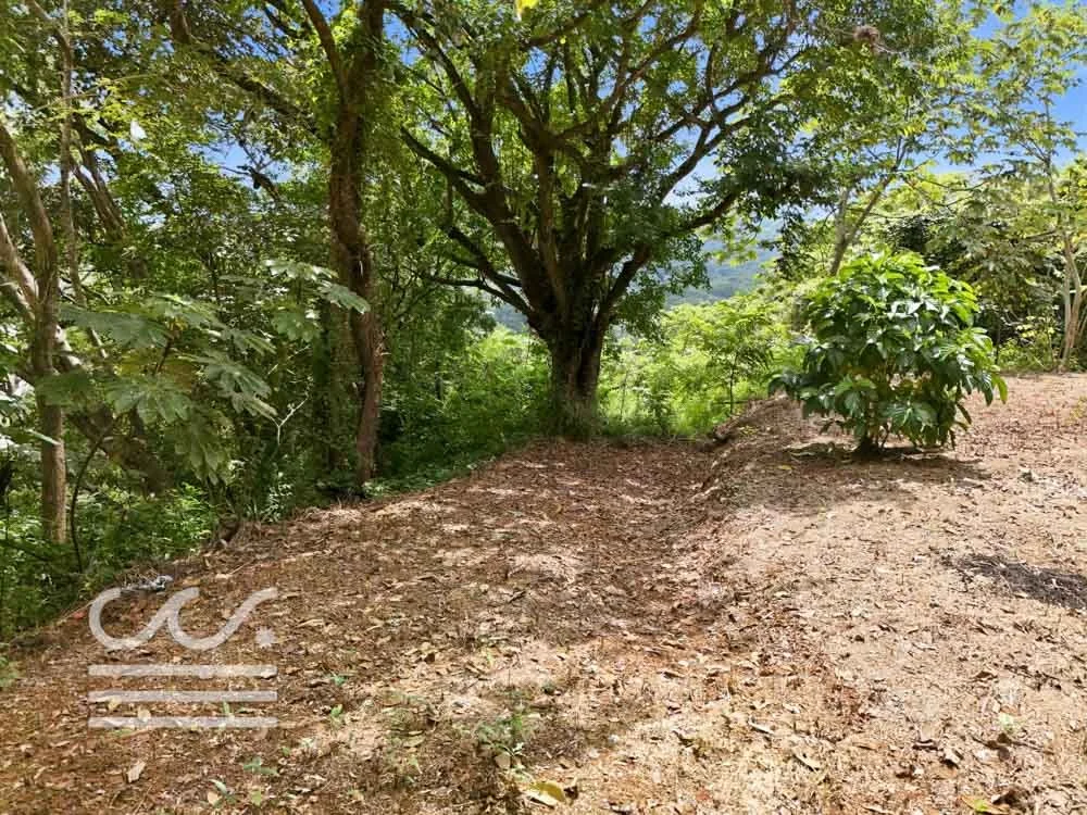 Clara Vista-Wanderlust-Sothebys-International-Realty-Nosara-Real-Estate-6.jpg