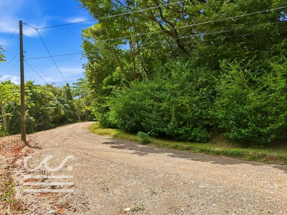 Clara Vista-Wanderlust-Sothebys-International-Realty-Nosara-Real-Estate-8.jpg