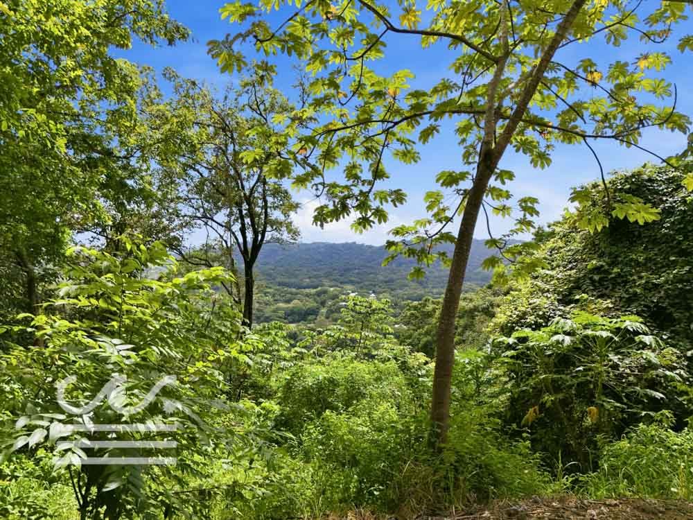 Clara Vista-Wanderlust-Sothebys-International-Realty-Nosara-Real-Estate-10.jpg