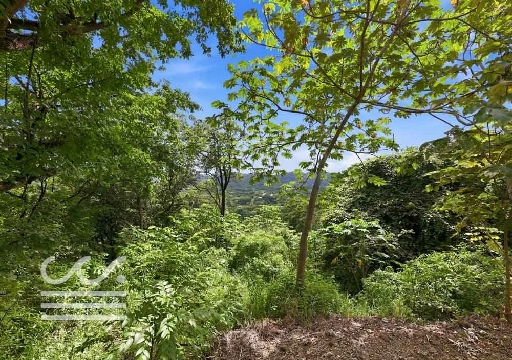 Clara Vista-Wanderlust-Sothebys-International-Realty-Nosara-Real-Estate-11.jpg