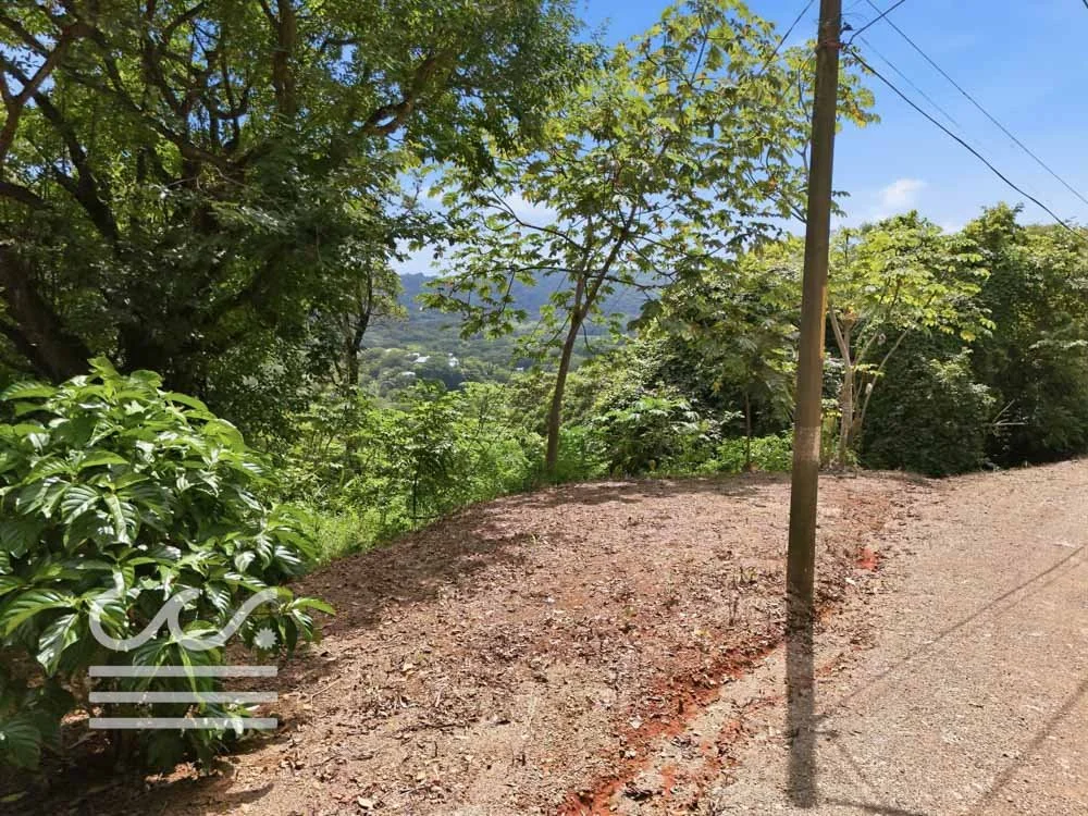 Clara Vista-Wanderlust-Sothebys-International-Realty-Nosara-Real-Estate-14.jpg