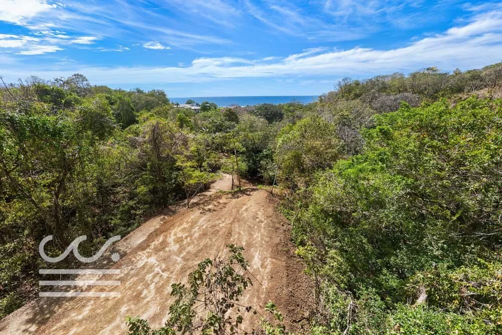 Ostional Hills-PG Nueve El Tempisque XII-Wanderlust-Sothebys-International-Realty-Nosara-Real-Estate-10.jpg