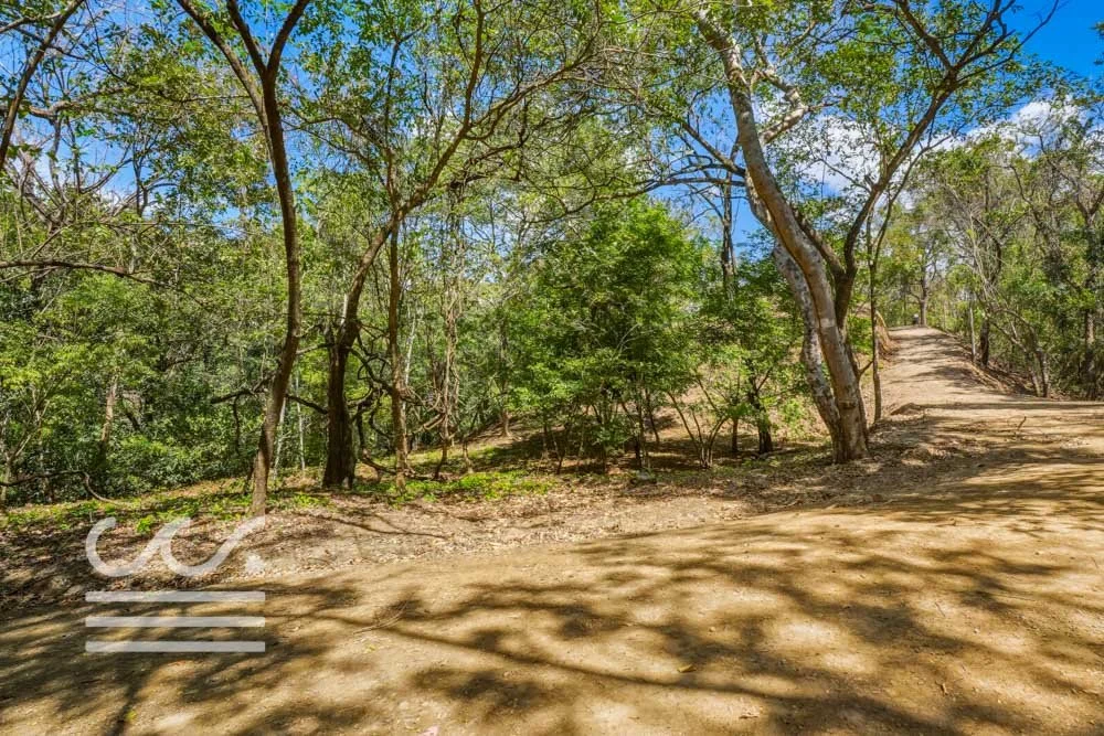 Ostional Hills-PG Nueve El Tempisque XII-Wanderlust-Sothebys-International-Realty-Nosara-Real-Estate-22.jpg