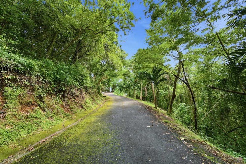 Casa Grande-Wanderlust-Sothebys-International-Realty-Nosara-Real-Estate-6.jpg