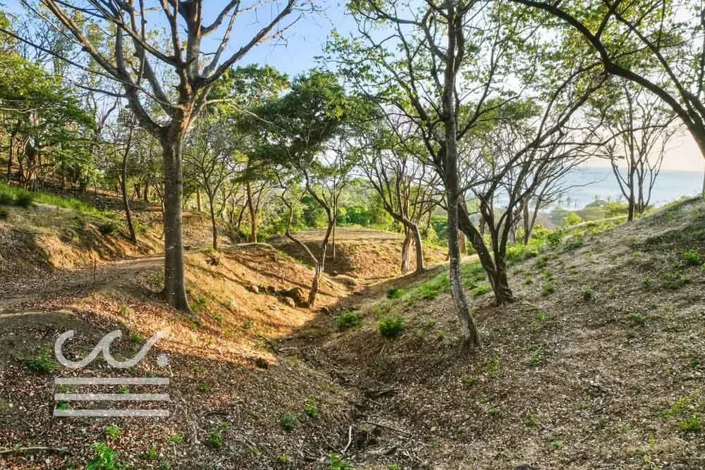 Ostil-lot2-Wanderlust-Sothebys-International-Realty-Nosara-Real-Estate-11.jpg