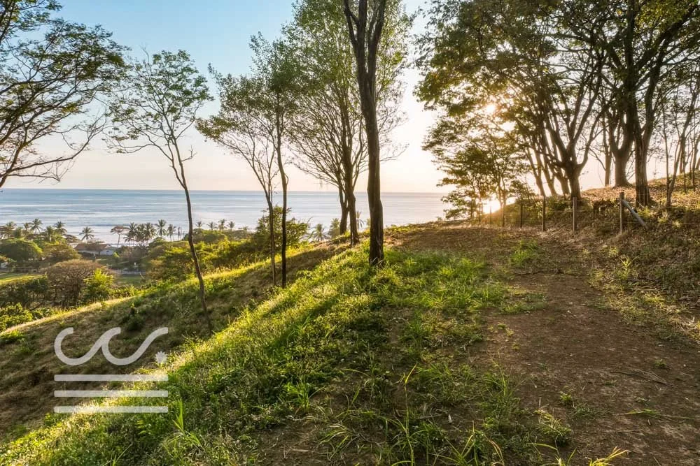 Ostil-lot2-Wanderlust-Sothebys-International-Realty-Nosara-Real-Estate-13.jpg