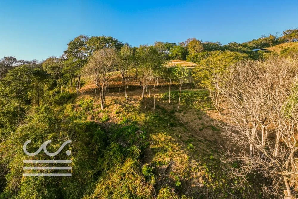 Ostil-lot2-Wanderlust-Sothebys-International-Realty-Nosara-Real-Estate-14.jpg