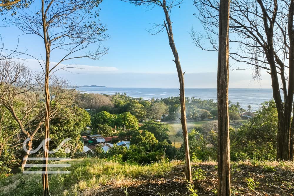 Ostil-lot2-Wanderlust-Sothebys-International-Realty-Nosara-Real-Estate-18.jpg