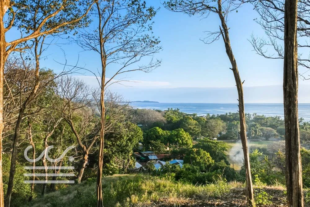 Ostil-lot2-Wanderlust-Sothebys-International-Realty-Nosara-Real-Estate-19.jpg