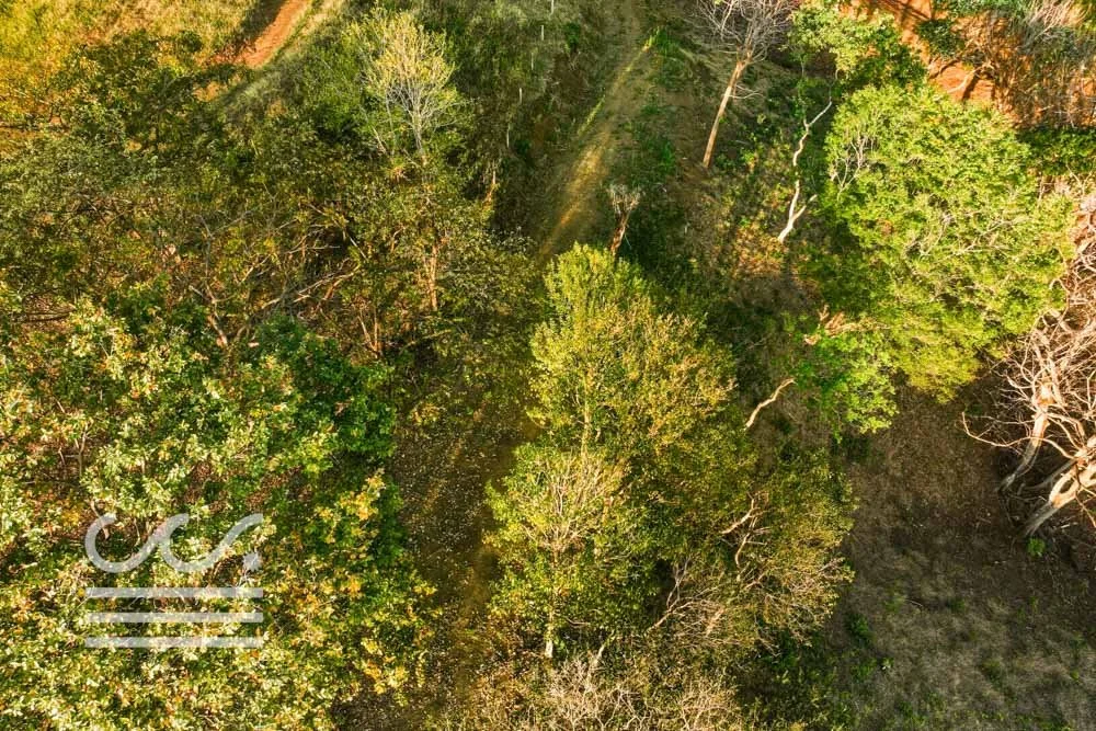 Ostil-lot2-Wanderlust-Sothebys-International-Realty-Nosara-Real-Estate-20.jpg