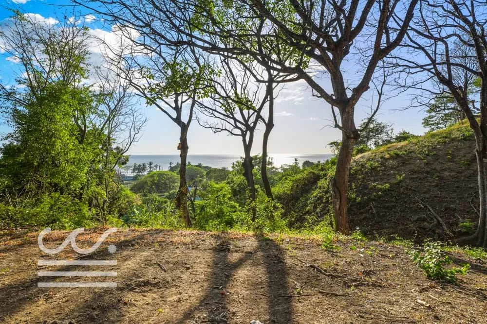 Ostil-lot2-Wanderlust-Sothebys-International-Realty-Nosara-Real-Estate-22.jpg
