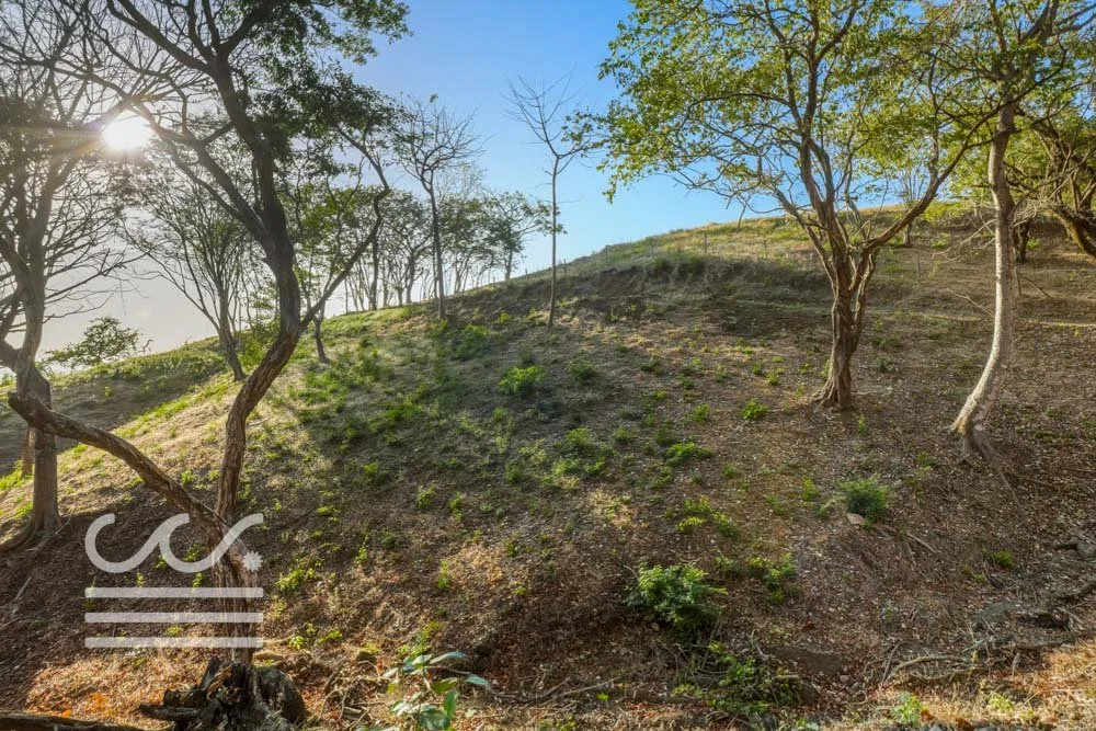 Ostil-lot2-Wanderlust-Sothebys-International-Realty-Nosara-Real-Estate-23.jpg
