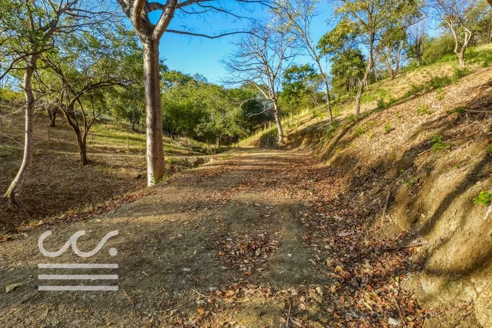 Ostil-lot2-Wanderlust-Sothebys-International-Realty-Nosara-Real-Estate-24.jpg