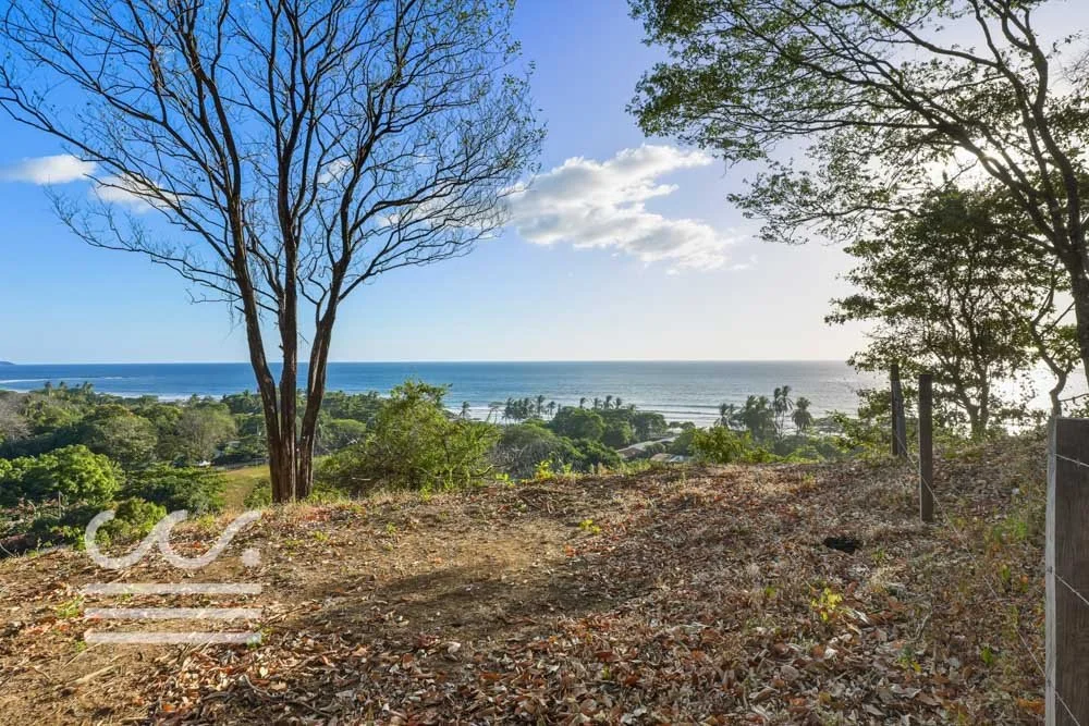 Ostil-lot2-Wanderlust-Sothebys-International-Realty-Nosara-Real-Estate-25.jpg