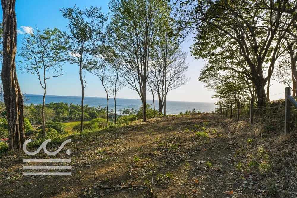 Ostil-lot2-Wanderlust-Sothebys-International-Realty-Nosara-Real-Estate-27.jpg
