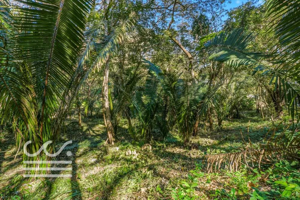 Selvamar pochote 4-Wanderlust-Sothebys-International-Realty-Nosara-Real-Estate-14.jpg