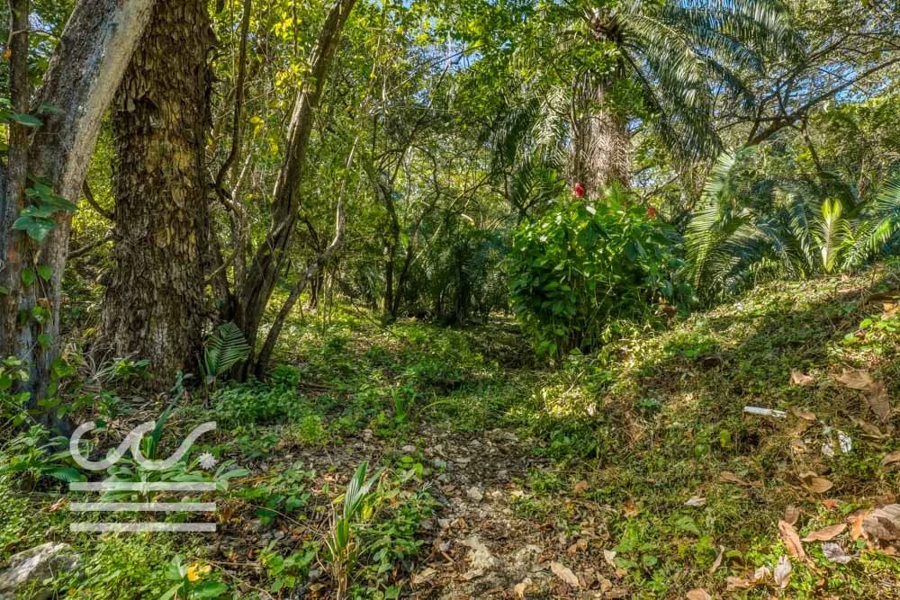 Selvamar pochote 4-Wanderlust-Sothebys-International-Realty-Nosara-Real-Estate-10.jpg