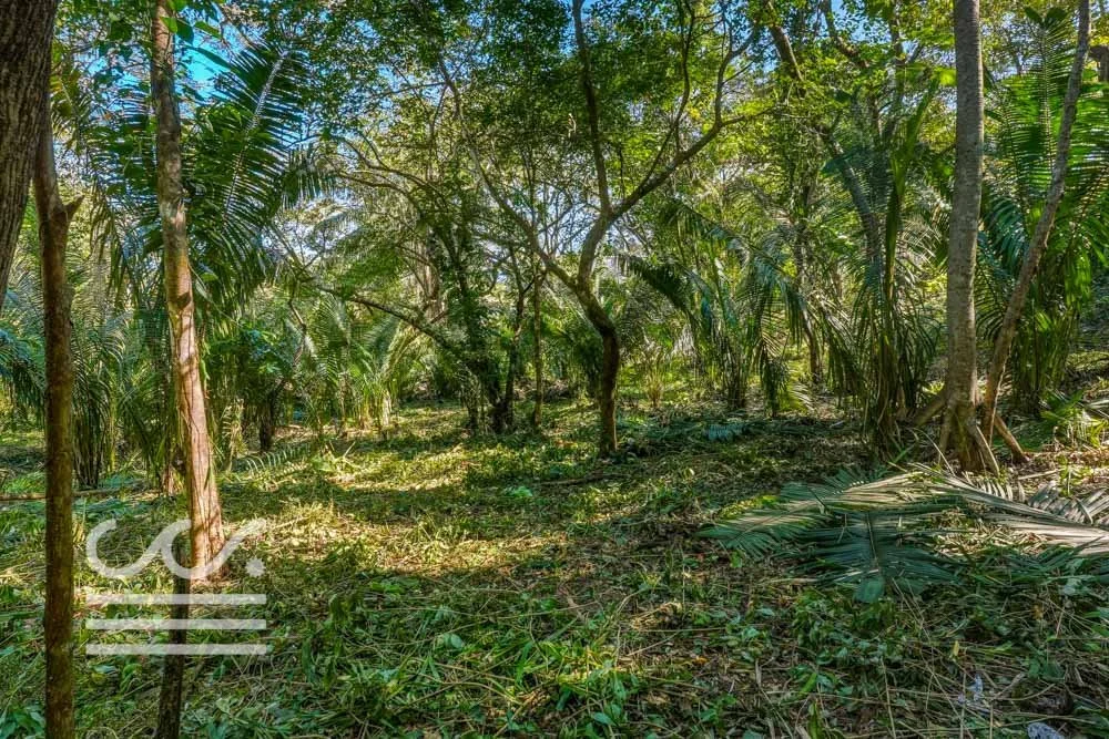 Selvamar pochote 4-Wanderlust-Sothebys-International-Realty-Nosara-Real-Estate-7 (1).jpg