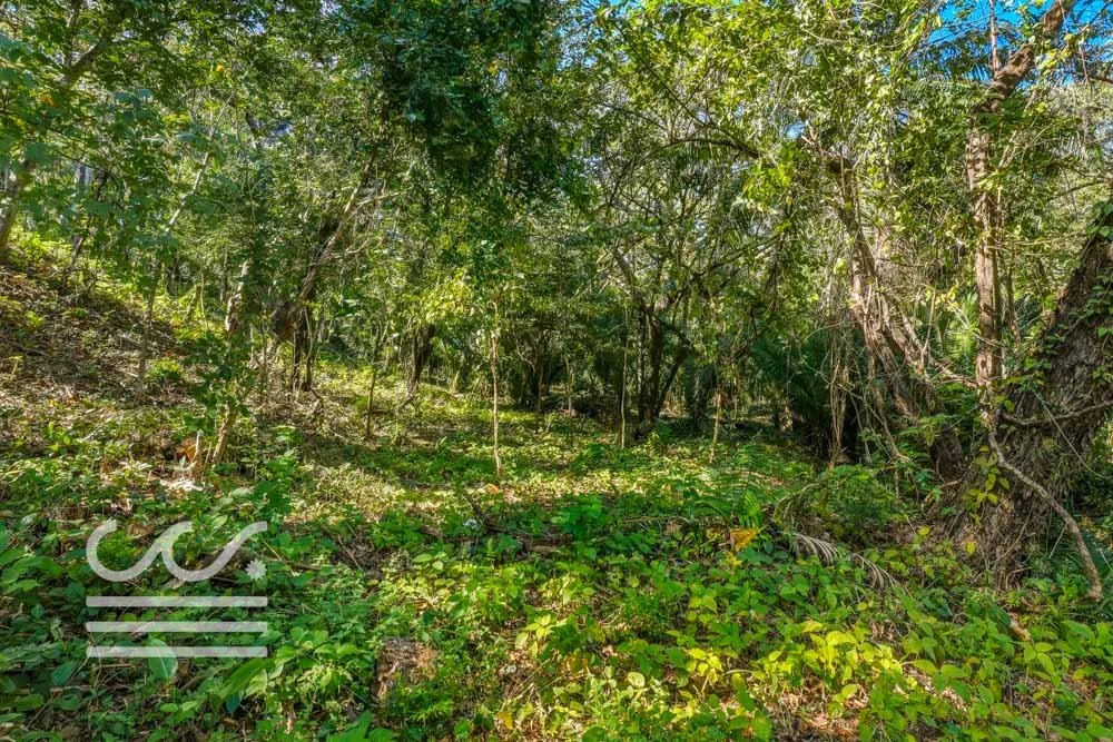 Selvamar pochote 4-Wanderlust-Sothebys-International-Realty-Nosara-Real-Estate-6.jpg