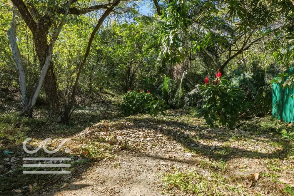 Selvamar pochote 4-Wanderlust-Sothebys-International-Realty-Nosara-Real-Estate-5.jpg